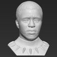 13.jpg Chad Boseman Black Panther bust 3D printing ready stl obj formats