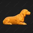 926-Basset_Fauve_de_Bretagne_Pose_08.jpg Basset Fauve de Bretagne Dog 3D Print Model Pose 08