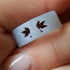 thumbnail_received_1376455799042201.jpg STL-Datei normal ring kostenlos・3D-Druck-Modell zum herunterladen