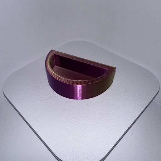 IMG_1782.jpeg Jumping spider feeding ledge