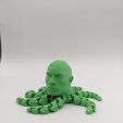 258910881_474759020626307_2669180488874972014_n.jpg The Rocktopus