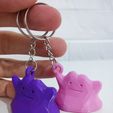 IMG_20231108_213109.jpg Ditto keychain low poly, Ditto keychain low poly. pokemon