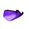 Unit 5.stl Maxillary Dental Anatomy for CAD - DigiSculpt Ox