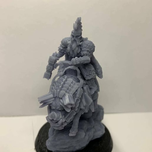 photo_2023-02-15_00-31-44-2.jpg Dwarven King on War Hog (Standing Pose)