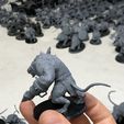 IMG_1666.jpg Free STL file Rattus Muscularis・3D printable design to download