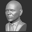 3.jpg Pitbull bust 3D printing ready stl obj formats