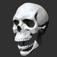 8.jpg Skull Anatomy  3D print model