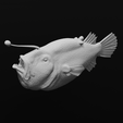 11.png Triplewart Seadevil - Cryptopsaras Couesii - Realistic Angler Fish