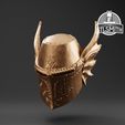 Winged_Sallet_Render_Bronze.jpg Winged Sallet Dragon's Dogma Life Size Prop STL