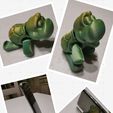 tortue flexible