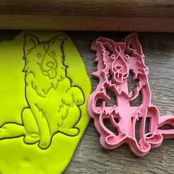 colie 4.jpg Cookie cutter - Border Collie III