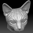 19.jpg Sphynx cat head for 3D printing