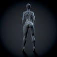 Untitled_Viewport.png Woman Female body anatomy Female body anatomy 2
