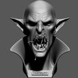 04.jpg VAMPIRE BUST