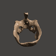 Skull-Wood-33.png Wood Skull Glasses and Change Holder