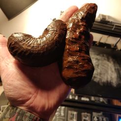 IMG_20210224_184716.jpg STL file Shy Pooper・3D printing idea to download