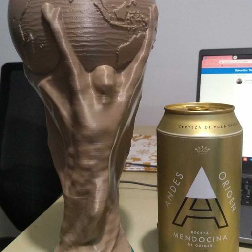 WhatsApp-Image-2022-12-23-at-20.39.29.jpeg Copa del Mundo seccionada