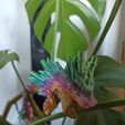 Bamboo Dragon Cinderwing3D X BambuLab
