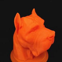 presa.jpg Archivo 3MF busto presa canario・Modelo imprimible en 3D para descargar