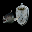 Dentex-head-trophy-26.png fish head trophy Common dentex / dentex dentex open mouth statue detailed texture for 3d printing