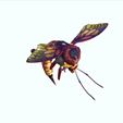 11.jpg DOWNLOAD BEE 3D MODEL - ANIMATED - INSECT Raptor Linheraptor MICRO BEE FLYING - POKÉMON - DRAGON - Grasshopper - OBJ - FBX - 3D PRINTING - 3D PROJECT - GAME READY-3DSMAX-C4D-MAYA-BLENDER-UNITY-UNREAL - DINOSAUR -