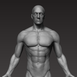 7.png Anatomically correct muscular male body Low and High Poly Low-poly 3D model