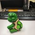 tortue flexible