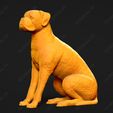 2529-Boxer_Pose_05.jpg Boxer Dog 3D Print Model Pose 05