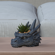 2.png Dragon Head Succulent Planter