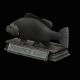 Peacock-Bass-statue-4-3-23.png FISH in motion Peacock bass (Cichla ocellaris) stone base for 3d printing