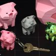 IMG_9356.jpg Waddles Low Poly 🐽