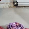 Розовая черепаха, Roseurtle, Cinderwing3D, День святого Валентина, артикулирующее животное Flexi Wiggle Pet, печать на месте, фантазия