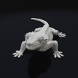 Lick2.png Crested Gecko Lizard Pet