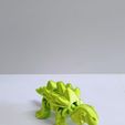 WhatsApp-Image-2022-01-08-at-9.16.35-AM.jpeg Alligator Turtle Flexi