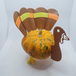 20201029_110335.jpg Turkey Pumpkin