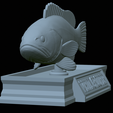 White-grouper-statue-30.png fish white grouper / Epinephelus aeneus statue detailed texture for 3d printing