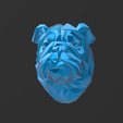 Screenshot_4.png Bull Dog - Low Poly