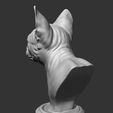 06.png Sphynx Cat Head AM08 3D print model