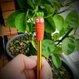Carrot_live3dprinstpt1.jpg Carrot Pencil Cap - for 3D Printing