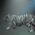 0_00031.png TIGER TIGER - DOWNLOAD TIGER 3d model - animated for blender-fbx-unity-maya-unreal-c4d-3ds max - 3D printing TIGER TIGER - CAT - FELINE - MONSTER - RAPTOR PREDATOR