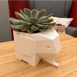 71cc9c2c1f8c6902355ed7f06e3095a8.jpg Fichier STL gratuit Jardinière éléphant・Objet imprimable en 3D à télécharger