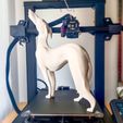 5-FOTO-IMPRESORA-2.jpg STL file PAT THE DOG - LAMP / DECO・3D printer design to download