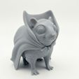 hyraxvamp01.jpg ハイラックス・アワワ・ヴァンパイア