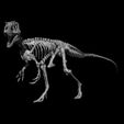 382332878_642014631352056_6964843578425332173_n.jpg YUTYRANNUS SKELETON