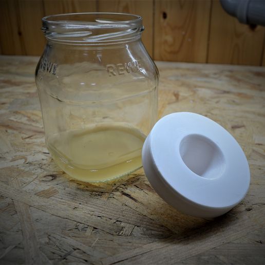 _DSC0236.JPG fruit fly trap