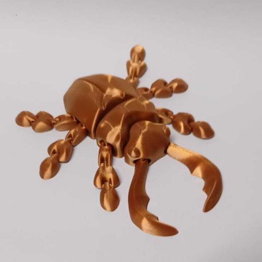 88acc584-52d3-4acb-a34e-216753aa246e.jpg small Flexi Beetle