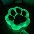 IMG_9808.jpg Paw night lamp