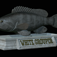 White-grouper-statue-21.png fish white grouper / Epinephelus aeneus statue detailed texture for 3d printing