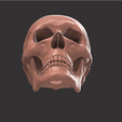 4.png HUMAN SKULL DETAILED