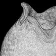11.jpg 3D PRINTABLE OPEN ALIEN EGG OVOMORPH WITH ROOTS
